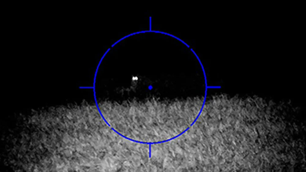 Hunting Coyotes at Night The Importance of a Night Vision Scope