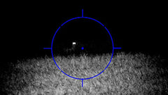 Coyote in the sights of a night vision scope